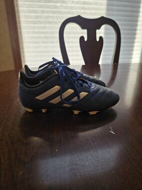 adidas Blue Youth Soccer Cleats